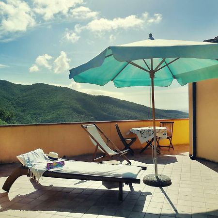 Casale Pundarika Vendégház Riparbella Kültér fotó