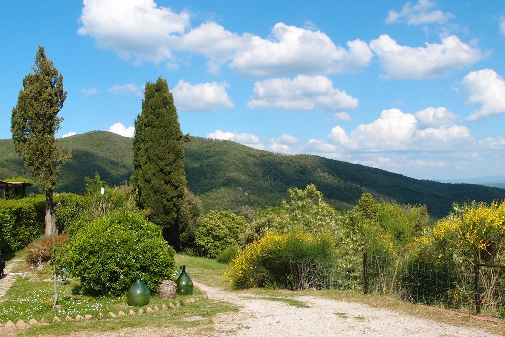 Casale Pundarika Vendégház Riparbella Kültér fotó