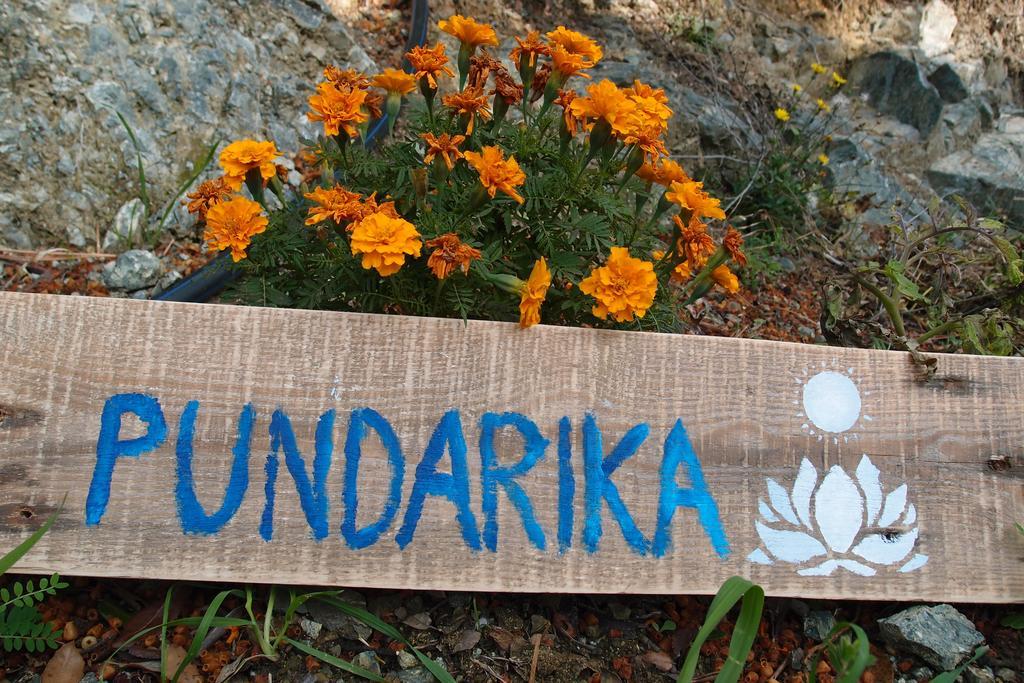 Casale Pundarika Vendégház Riparbella Kültér fotó